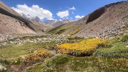 La cordillera de los Andes. Mendoza.