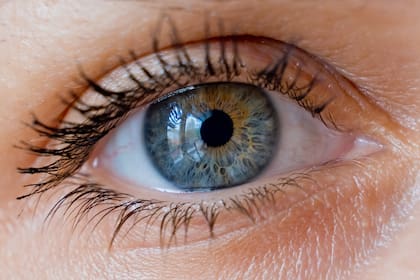La córnea del ojo refleja lo que tiene enfrente; con esa información es posible reconstruir en 3D el espacio que estaba delante de una persona en una fotografía