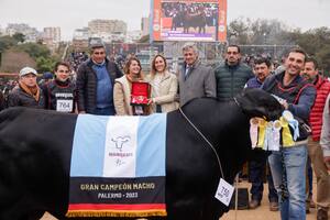 La coronación del Gran Campeón Macho de la raza Brangus fue para El Porvenir