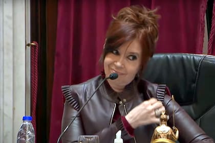 La Corte rechazó una maniobra de Cristina Kirchner para designar un representante en el Senado.