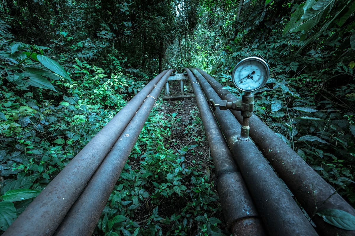 La Corte Suprema condenó al Estado nacional, a la gobernación de Jujuy y a dos empresas petroleras a ejecutar un plan de cese y recomposición del daño ambiental de la actividad petrolera dentro del Parque Nacional Calilegua