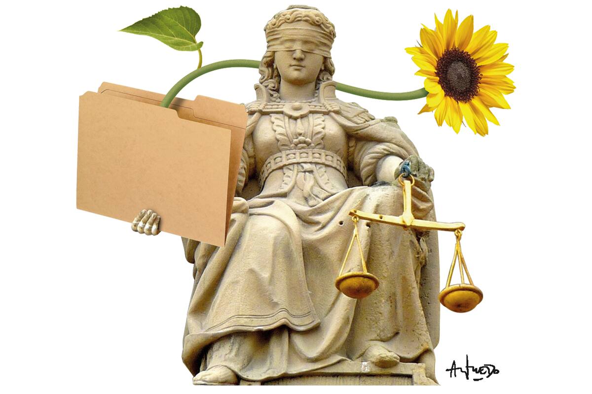 La Corte Suprema y los casos de trascendencia