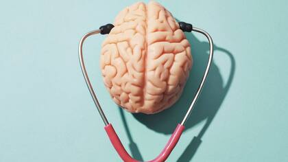 La corteza prefrontal ventromedial parece ser el área del cerebro responsable de predecir la capacidad de recuperación ante situaciones de estrés