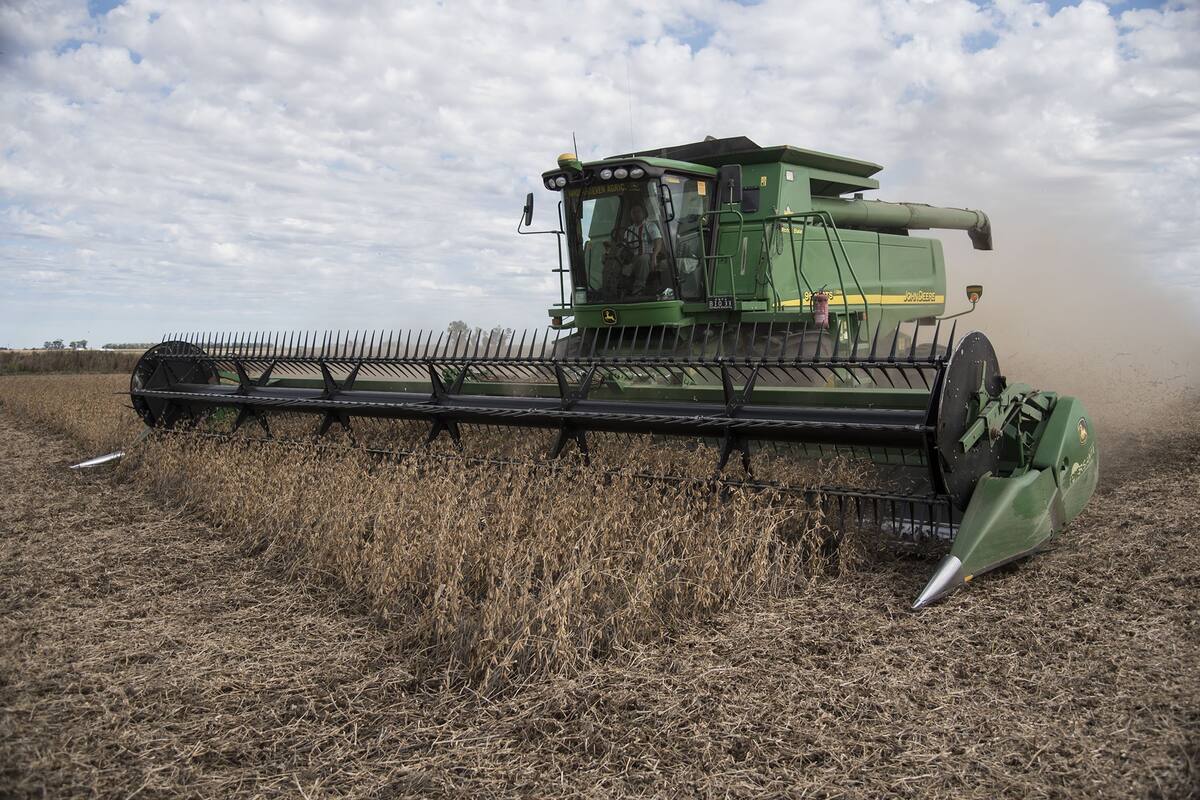 La cosecha crece en desarrollo con nuevos productos