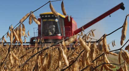 En ocho ruedas, la soja perdió US$17,18 por tonelada, equivalente al 3,62%, en el mercado de Chicago