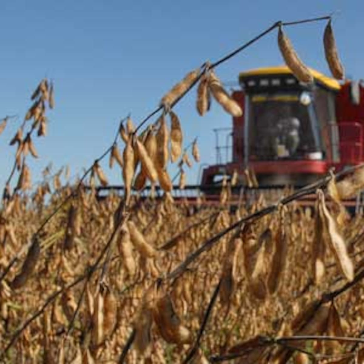 Exportaciones: mejora en US$800 millones una previsión de ingresos al país por el agro - LA NACION