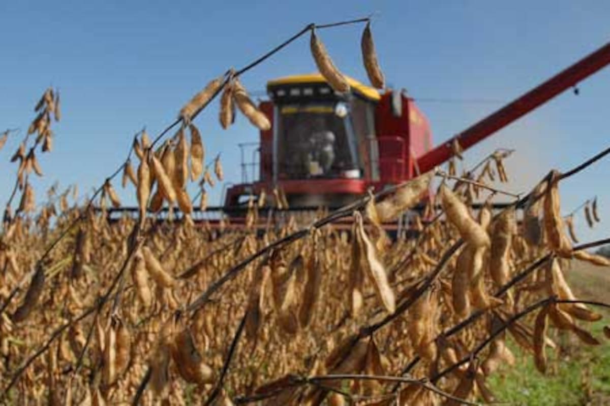 La cosecha de soja comienza en los primeros días de abril