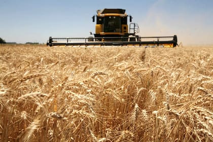 La cosecha de trigo 2019/2020 ya está terminada