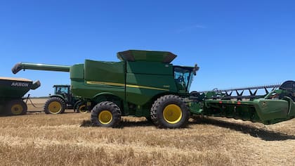 La cosecha de trigo en el campo de Domenech