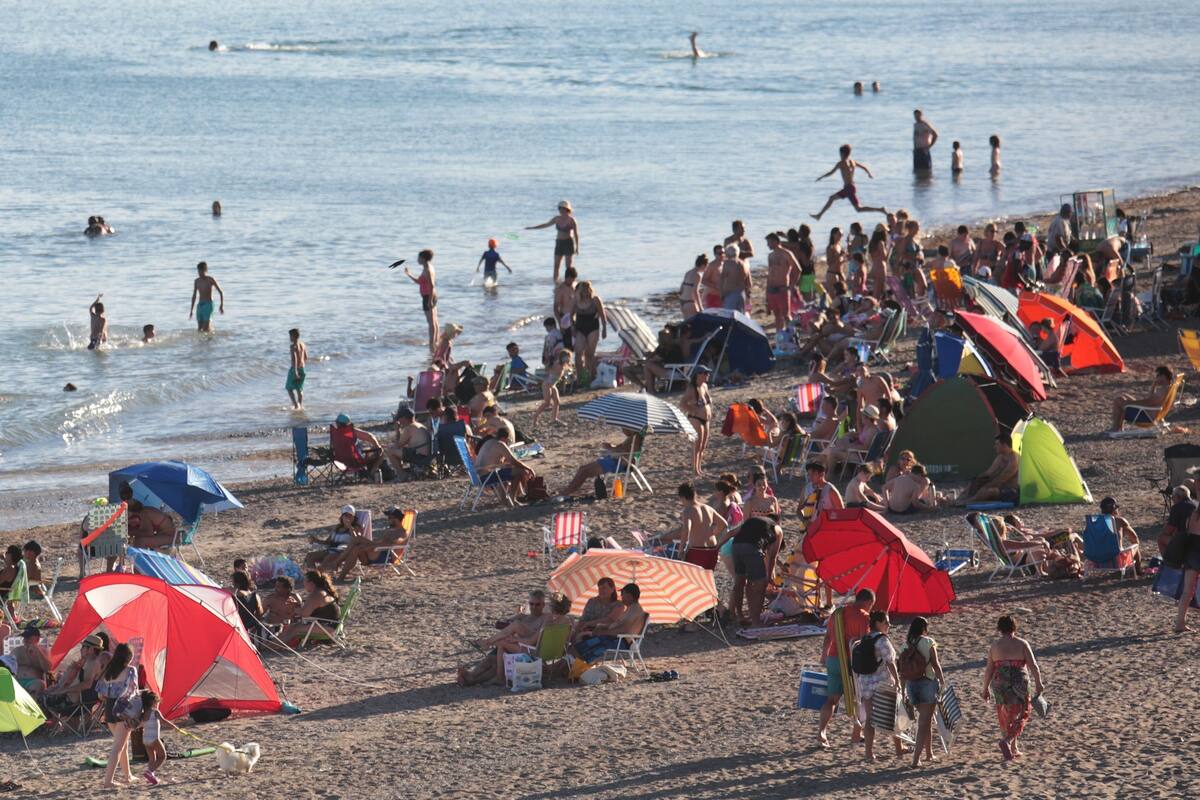 La costa del norte rionegrino sorprende por la calidez de sus aguas y por las playas, ahora coronadas como las mejores del país por una influyente agencia canadiense. Además, pesca, buceo y hasta aceite de oliva premium