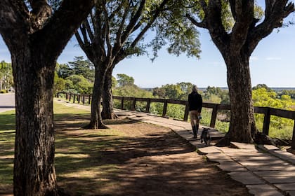 La costanera de San Pedro