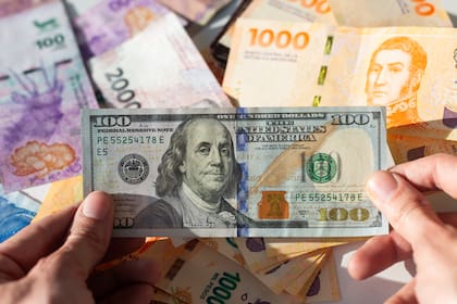 Una guía rápida y sencilla para identificar si un dólar es falso - LA NACION