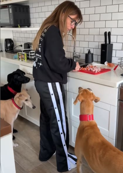 La creadora de contenido suele subir videos con sus mascotas (Captura: @danilachepi)