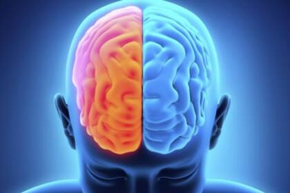 La creatividad también es importante en la ciencia y la innovación
