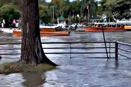 La crecida del río en Tigre