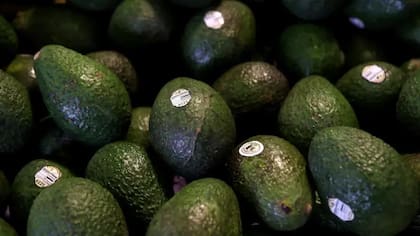 La creciente demanda de paltas en Europa y América del Norte ha triplicado la producción mundial en poco más de 20 años.