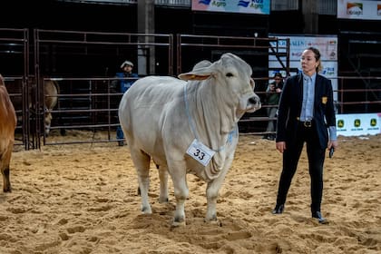 La criadora brasileña Lucyana Malossi Queyroz con el Gran Campeón Hembra que consagró