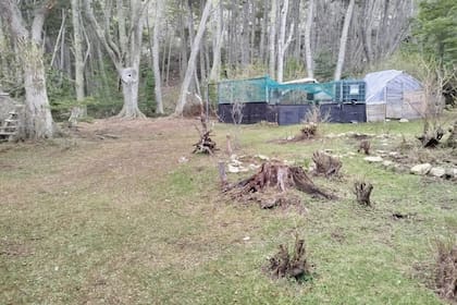 La crianza de gallinas comenzó como un pasatiempo familiar