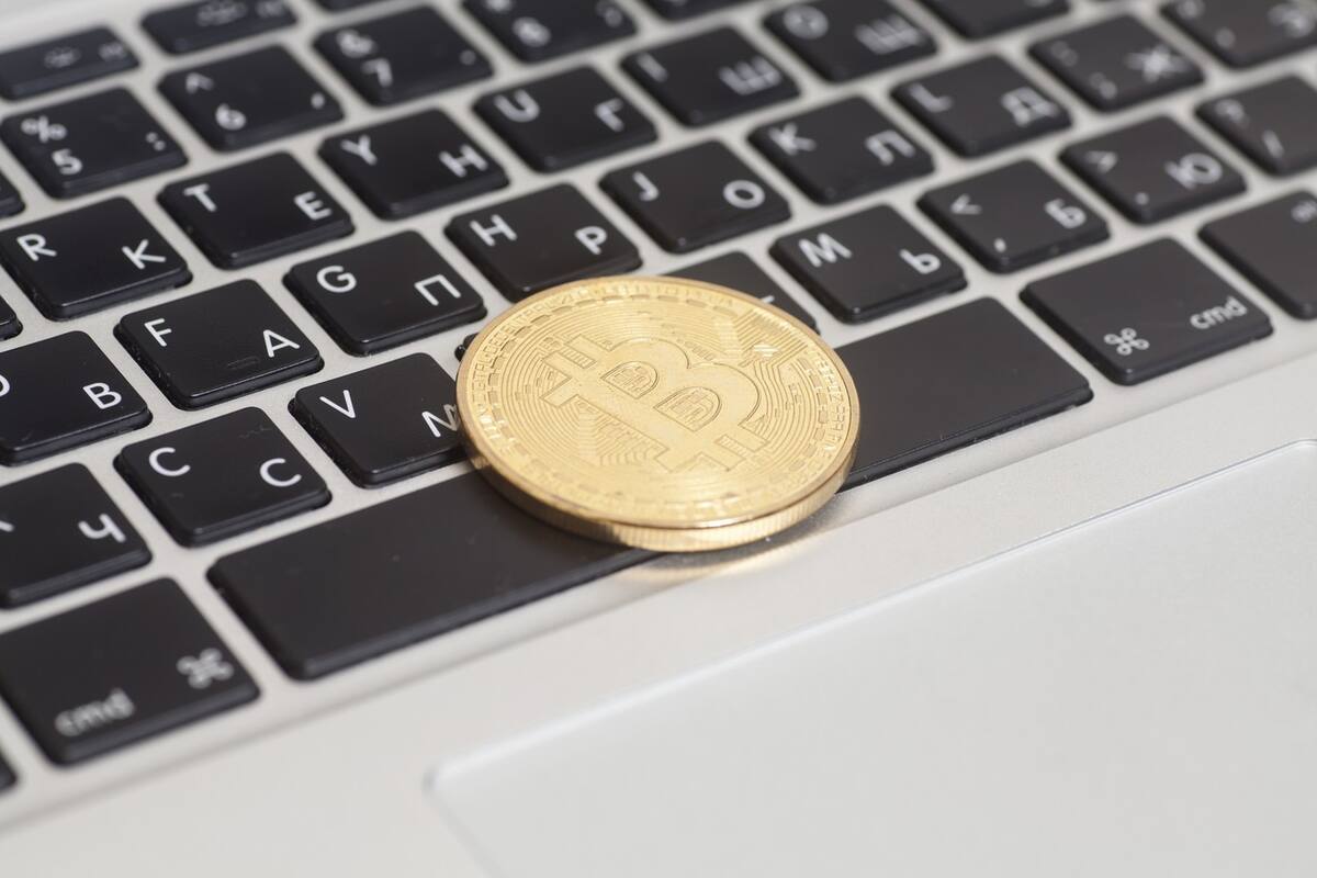 La criptomoneda más famosa perdió el 50% de su valor en la última semana