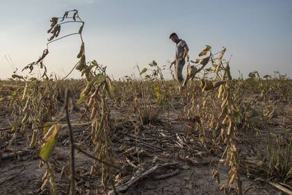 La crisis del campo afecta gravemente a productores de Bell Ville y del sur de Santa Fe