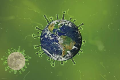 La crisis del coronavirus proporciona una oportunidad para generar un cambio estructural, reemplazando los hábitos de producción, distribución y consumo que hoy afectan a la biodiversidad por otros más sostenibles.