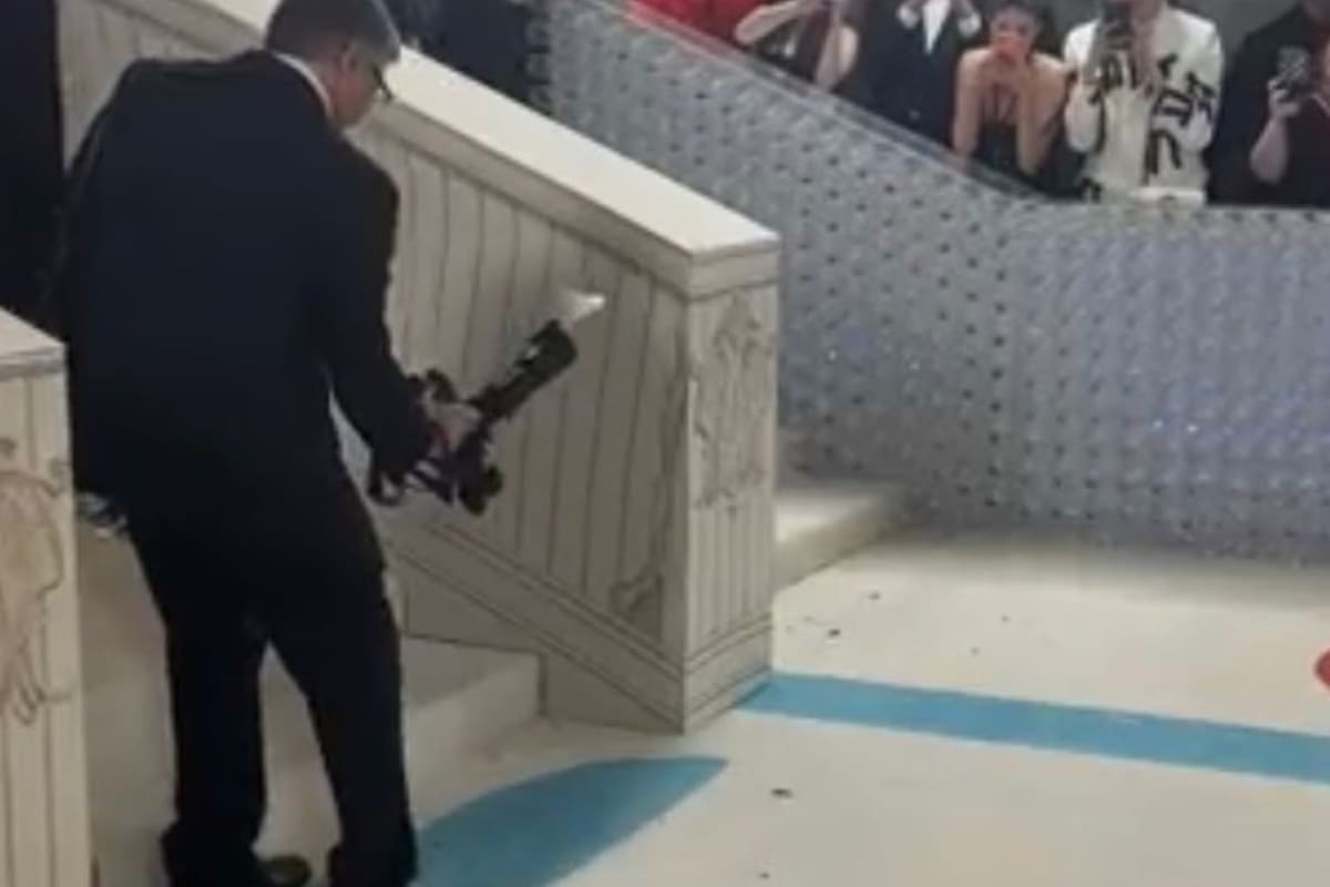 La cucaracha en la Met Gala se robó la atención de todos (Foto: Captura Twitter)