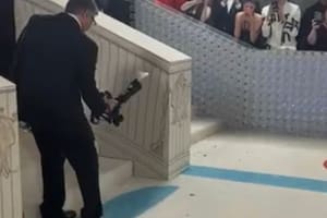 Un insecto para no olvidar