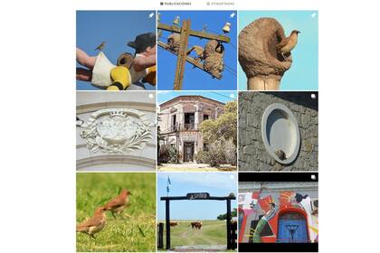 La cuenta @casasdehorneros en Instagram