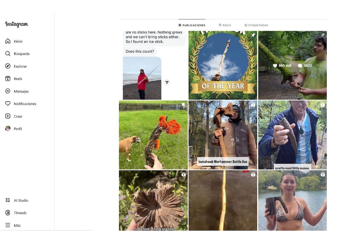 La cuenta de Stick Nation en Instagram