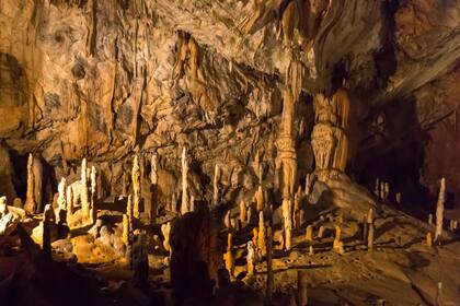La cueva de Postojna, en Eslovenia, presenta estalactitas y estalagmitas por doquier