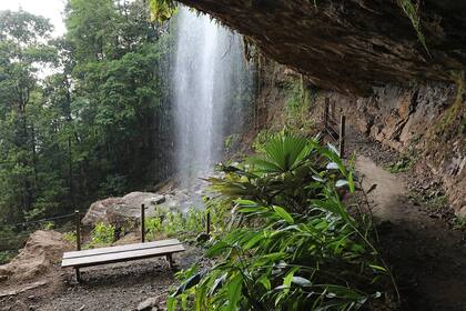 La cueva espera tras una cascada en plena selva