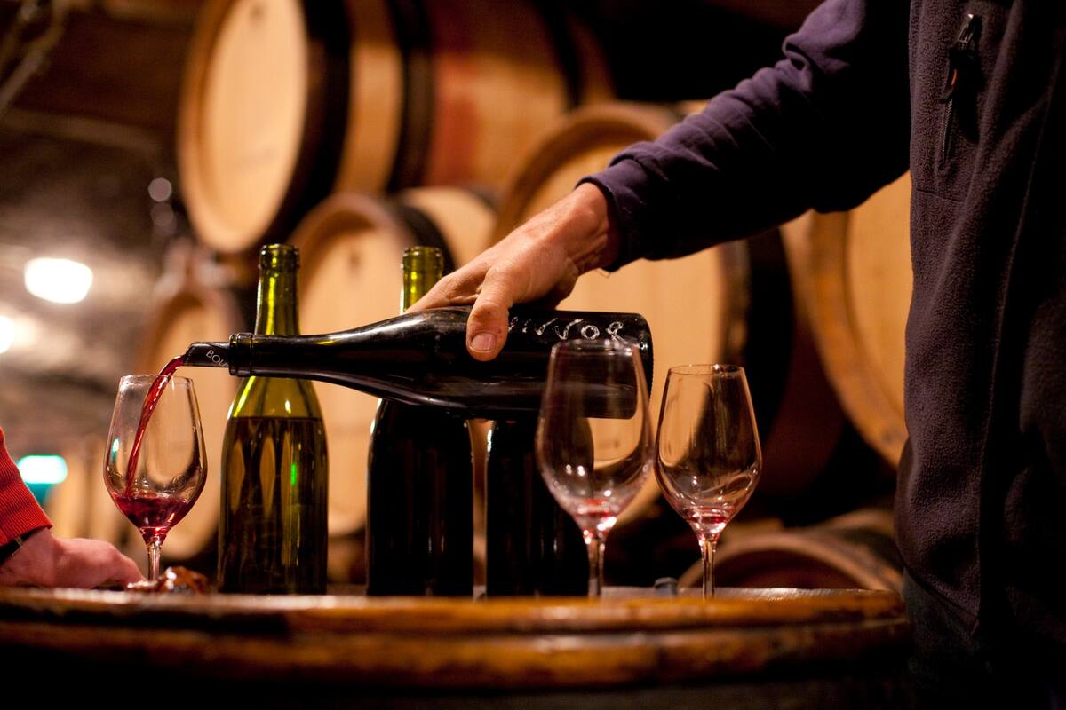 La cuna del Pinot Noir es la Borgoña, en Francia, de donde surgen vinos que se venden a un precio promedio de 2500 dólares