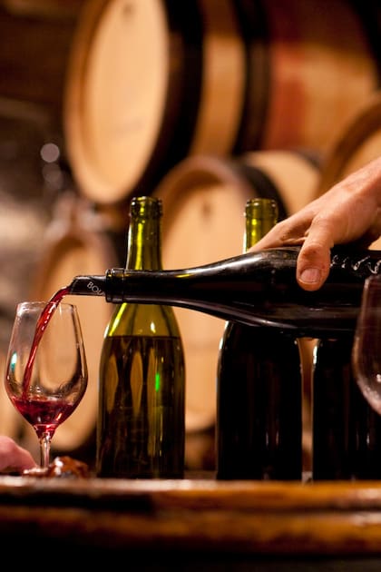 La cuna del Pinot Noir es la Borgoña, en Francia, de donde surgen vinos que se venden a un precio promedio de 2500 dólares