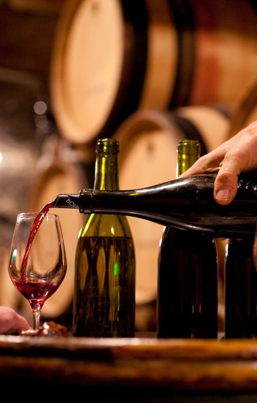 La cuna del Pinot Noir es la Borgoña, en Francia, de donde surgen vinos que se venden a un precio promedio de 2500 dólares