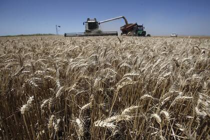 La cuota extra Mercosur de trigo que abrió Brasil fue uno de los temas de la semana