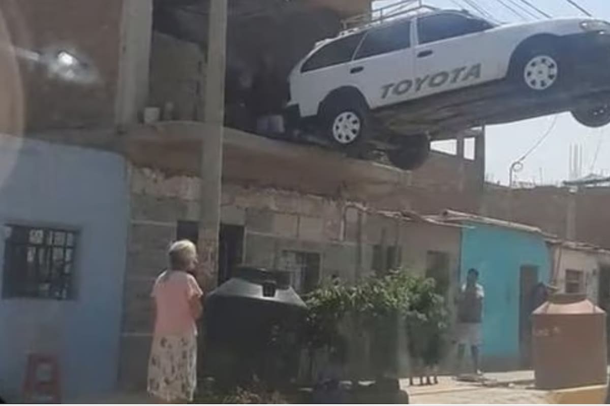 La curiosa escena se volvió viral en las redes sociales