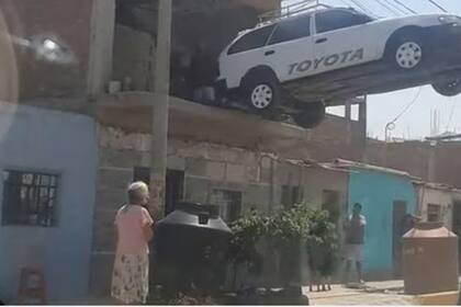 La curiosa escena se volvió viral en las redes sociales