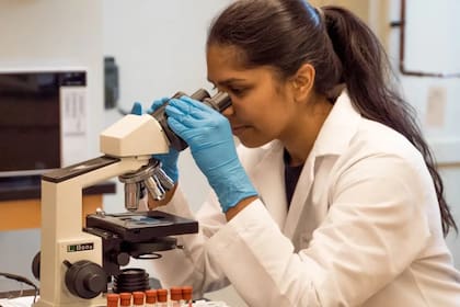 La curiosidad humana es infinita