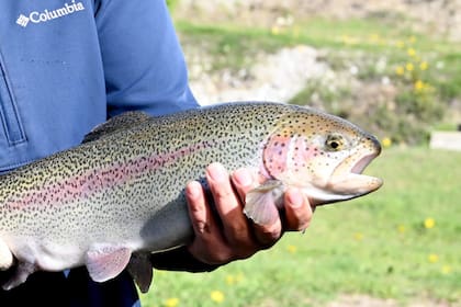 La decisión de China es para la cría de acuicultura en agua dulce