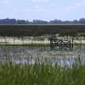 El Gobierno declaró la emergencia agropecuaria por inundaciones en dos partidos bonaerenses