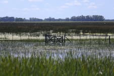 El Gobierno declaró la emergencia agropecuaria por inundaciones en dos partidos bonaerenses
