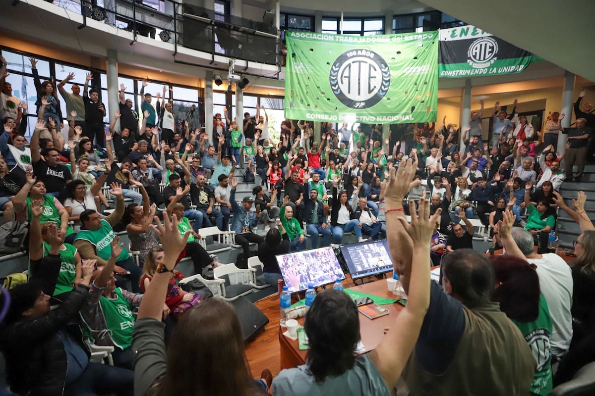 La decisión se tomó en el Plenario Federal con más de mil delegados de todo el país. Foto: ATE