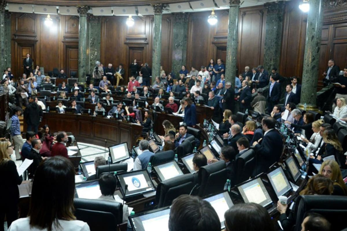 La declaración de "preocupación" fue aprobada hoy en la Legislatura de la Ciudad de Buenos Aires