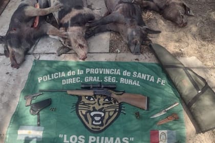 La defensa del dirigente político solicitó su libertad, argumentando que lo sucedido "no constituye abigeato, sino que podría ser infracción a la ley de protección de la fauna". Sin embargo, la causa seguirá según el curso ordenado por el juez e investigado por el fiscal a cargo