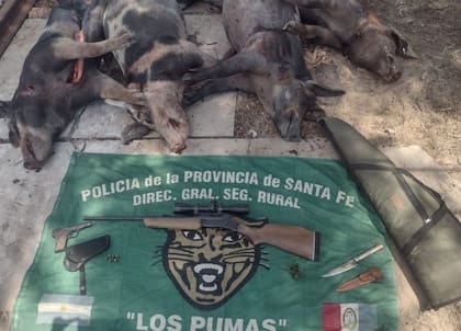 La defensa del dirigente político solicitó su libertad, argumentando que lo sucedido "no constituye abigeato, sino que podría ser infracción a la ley de protección de la fauna". Sin embargo, la causa seguirá según el curso ordenado por el juez e investigado por el fiscal a cargo