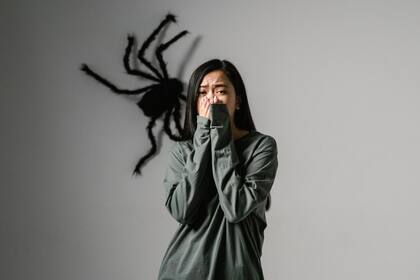 “La definición de fobia que más me gusta es esa que dice que es un fracaso en el desaprendizaje de miedos”, escribe Margarita García Robayo