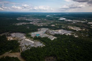 Cinco países amazónicos arrestan a cientos de personas en ofensiva contra delitos ambientales