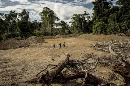 La deforestación avanza aceleradamente en la Amazonía