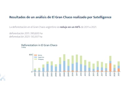 La deforestación en el Gran Chaco se redujo en un 66%, según datos de la firma