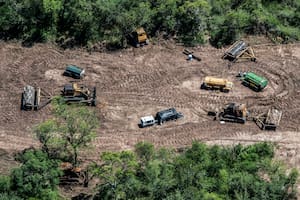 La deforestación, uno de los temas que más preocupan a los argentinos